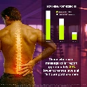 phy00323.webp