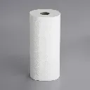 paper towel 1.webp