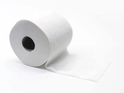 Ultra Strong 4" x 4" 2-Ply 208 Sheet Toilet Paper  Roll - 24/Box