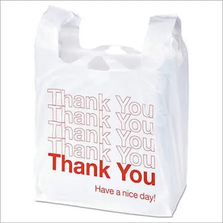 thank you bag (1000 Units) (9X13)